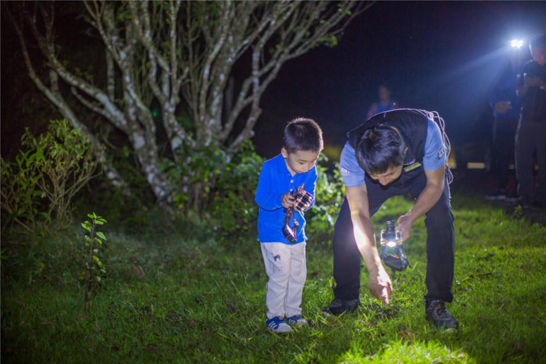 小熊猫庄园成为全国15家“金选度假酒店”之一
