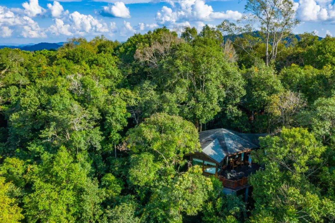 小熊猫庄园成为全国15家“金选度假酒店”之一