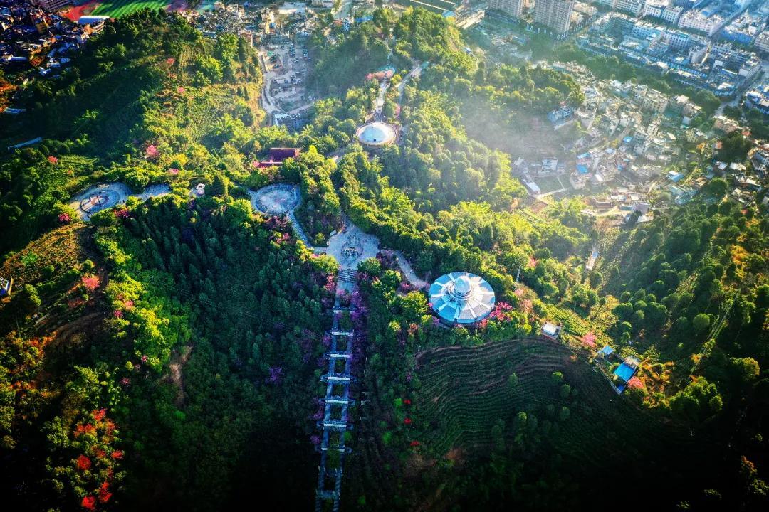 新春活动丨请查收