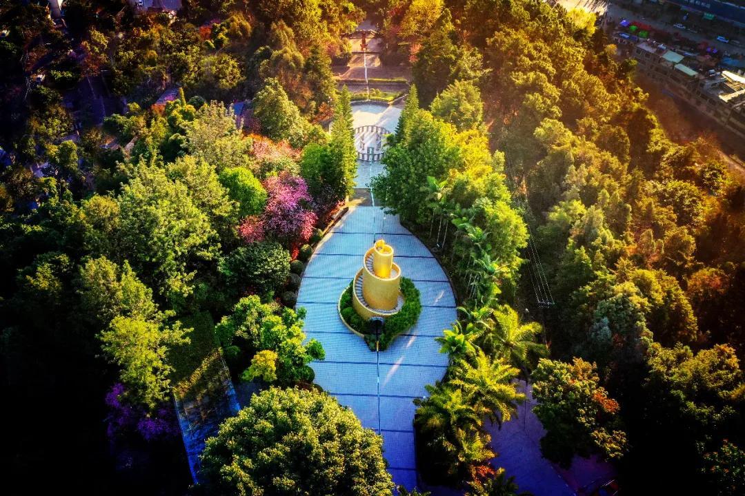 新春活动丨请查收