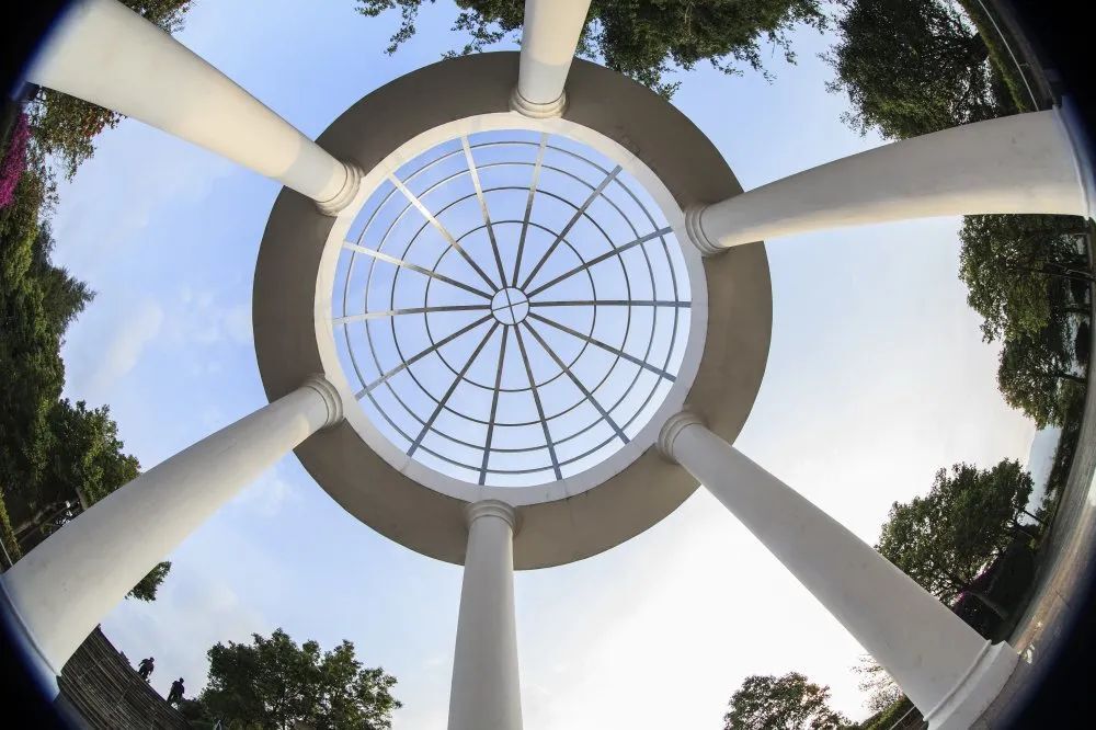 新春活动丨请查收