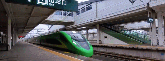 元旦到来/正值墨江樱花盛开时/不妨来北回归线标志园赏樱花