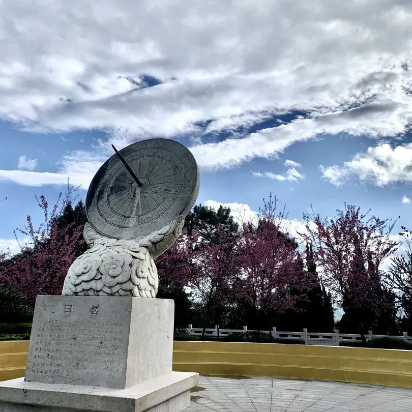 元旦到来/正值墨江樱花盛开时/不妨来北回归线标志园赏樱花